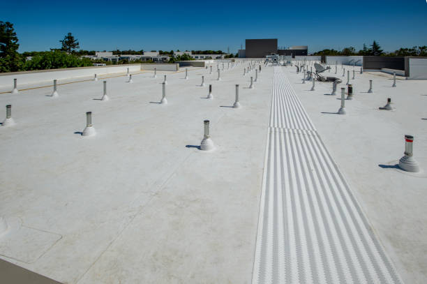 Best Commercial Roofing Services  in Dousman, WI